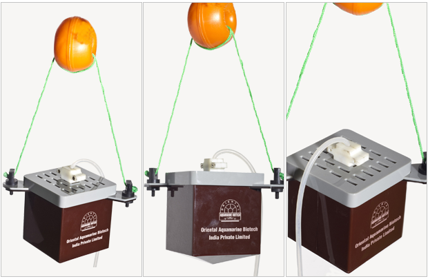 In-Situ Stringed Bed Suspended Bioreactor (SBSBR)